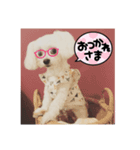 ぽぽちタイム2（個別スタンプ：5）