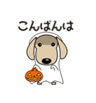 ダックスフンド 日常会話 秋・ハロウィン等（個別スタンプ：5）