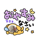 もふもふ白文鳥（個別スタンプ：3）