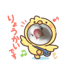 もふもふ白文鳥（個別スタンプ：4）