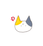 にゃんこちゃんの日々（個別スタンプ：12）