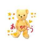 ♡テディベア ホットくん♡ 日常会話ver（個別スタンプ：13）