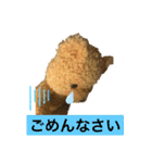♡テディベア ホットくん♡ 日常会話ver（個別スタンプ：16）