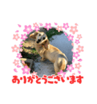 メグちゃん専用（個別スタンプ：2）