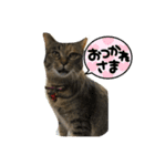 あきこ_20210928001842（個別スタンプ：4）