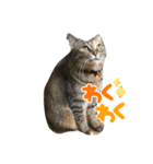 あきこ_20210928001842（個別スタンプ：5）