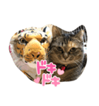 あきこ_20210928001842（個別スタンプ：6）