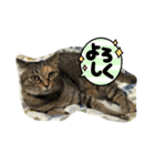 あきこ_20210928001842（個別スタンプ：8）