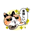 三毛猫あられちゃん（個別スタンプ：2）