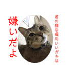 (猫)ここちゃん すたんぷ第二弾？！（個別スタンプ：18）