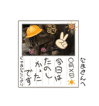 (猫)ここちゃん すたんぷ第二弾？！（個別スタンプ：40）
