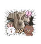 うさぎのみるくちゃん♡（個別スタンプ：2）