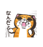 ランラン猫19 (日本語)（個別スタンプ：12）