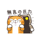 ランラン猫19 (日本語)（個別スタンプ：24）