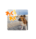 いつものらいらい（個別スタンプ：5）