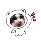8ねこちゃんずのかぶりもの（個別スタンプ：2）