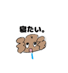 いまどきトイプーぱりんこちゃん（個別スタンプ：7）