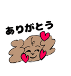 いまどきトイプーぱりんこちゃん（個別スタンプ：13）