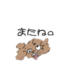 いまどきトイプーぱりんこちゃん（個別スタンプ：14）