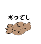 いまどきトイプーぱりんこちゃん（個別スタンプ：17）