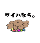 いまどきトイプーぱりんこちゃん（個別スタンプ：18）