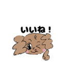 いまどきトイプーぱりんこちゃん（個別スタンプ：32）
