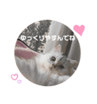白猫まろん2♡（個別スタンプ：17）