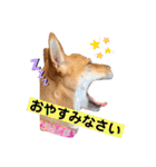 ずぅーきぃーときなちゃん（個別スタンプ：1）