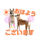 ずぅーきぃーときなちゃん（個別スタンプ：3）
