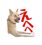 ずぅーきぃーときなちゃん（個別スタンプ：4）