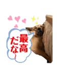 ずぅーきぃーときなちゃん（個別スタンプ：5）