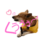ずぅーきぃーときなちゃん（個別スタンプ：6）