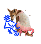 ずぅーきぃーときなちゃん（個別スタンプ：8）