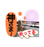 ずぅーきぃーときなちゃん（個別スタンプ：9）