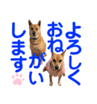 ずぅーきぃーときなちゃん（個別スタンプ：14）