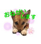 ずぅーきぃーときなちゃん（個別スタンプ：16）
