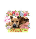 ずぅーきぃーときなちゃん（個別スタンプ：17）