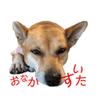 ずぅーきぃーときなちゃん（個別スタンプ：20）