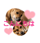 ずぅーきぃーときなちゃん（個別スタンプ：21）