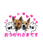 ずぅーきぃーときなちゃん（個別スタンプ：22）