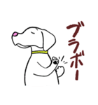 バドバド犬猫生活〜犬猫の心の叫び 第2弾（個別スタンプ：13）