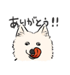 FluffySamoyed（個別スタンプ：2）