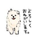 FluffySamoyed（個別スタンプ：4）