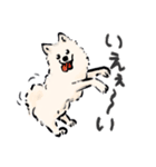 FluffySamoyed（個別スタンプ：8）