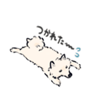 FluffySamoyed（個別スタンプ：9）