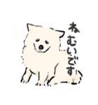 FluffySamoyed（個別スタンプ：10）