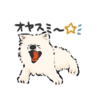 FluffySamoyed（個別スタンプ：11）