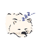 FluffySamoyed（個別スタンプ：12）