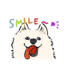 FluffySamoyed（個別スタンプ：17）