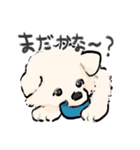 FluffySamoyed（個別スタンプ：18）